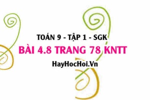 Bài 4.8 Toán 9 tập 1 SGK Kết nối tri thức